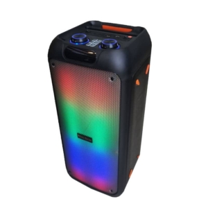 اسپیکر ROYAL SOUND مدل :RSD31