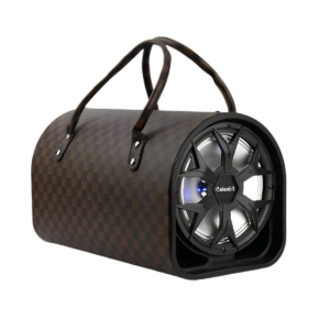 اسپیکر چمدانی بزرگ galex bit مدل gs 08